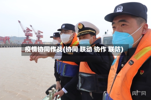 疫情协同作战(协同 联动 协作 联防)-第2张图片