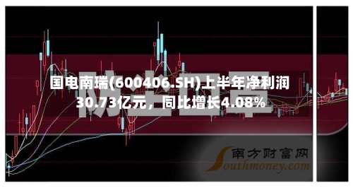 国电南瑞(600406.SH)上半年净利润30.73亿元，同比增长4.08%-第2张图片