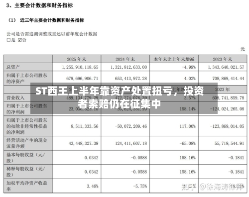 ST西王上半年靠资产处置扭亏，投资者索赔仍在征集中-第3张图片