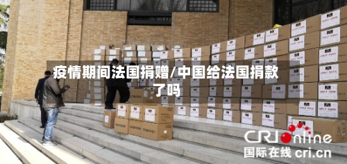 疫情期间法国捐赠/中国给法国捐款了吗-第3张图片