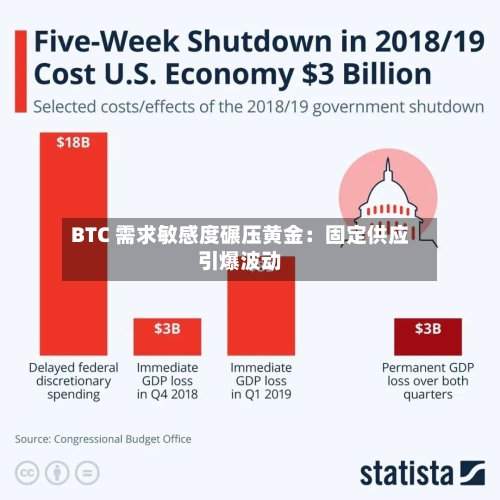 BTC 需求敏感度碾压黄金：固定供应引爆波动-第2张图片