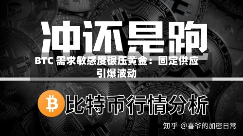 BTC 需求敏感度碾压黄金：固定供应引爆波动-第3张图片