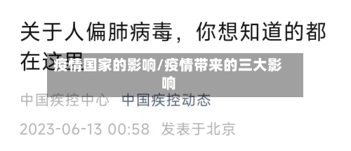 疫情国家的影响/疫情带来的三大影响