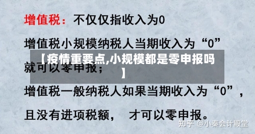 【疫情重要点,小规模都是零申报吗】-第3张图片