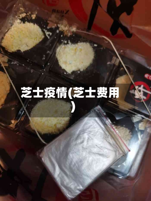 芝士疫情(芝士费用)