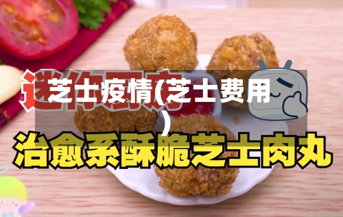 芝士疫情(芝士费用)-第2张图片