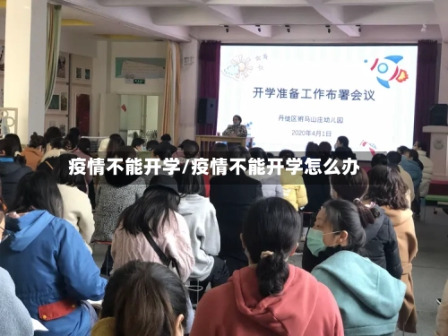 疫情不能开学/疫情不能开学怎么办