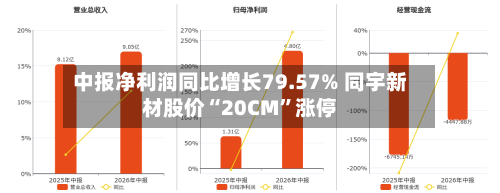 中报净利润同比增长79.57% 同宇新材股价“20CM”涨停-第2张图片