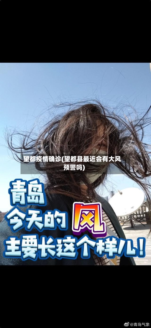 望都疫情确诊(望都县最近会有大风预警吗)-第2张图片