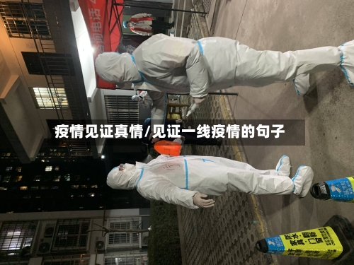 疫情见证真情/见证一线疫情的句子