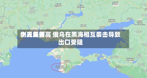 小麦费用创三年新高 俄乌在黑海相互袭击导致出口受阻-第3张图片