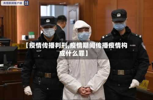 【疫情传播判刑,疫情期间传播疫情构成什么罪】-第3张图片