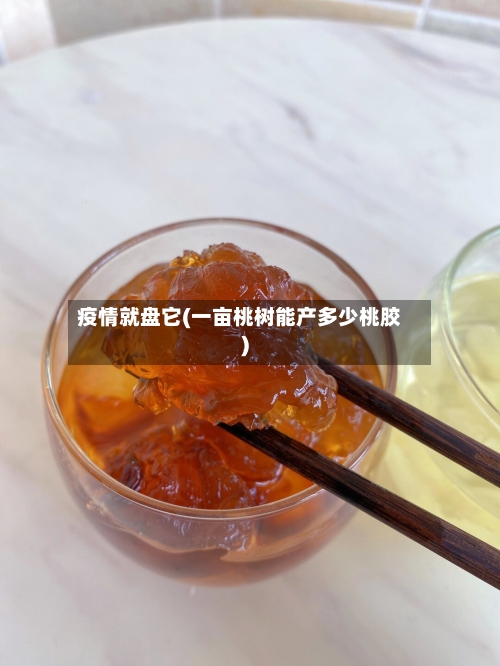 疫情就盘它(一亩桃树能产多少桃胶)-第2张图片