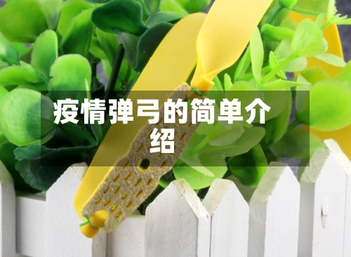疫情弹弓的简单介绍-第2张图片