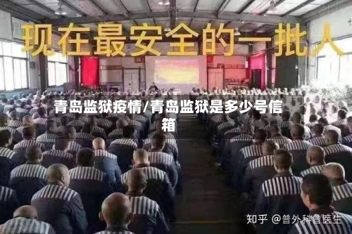 青岛监狱疫情/青岛监狱是多少号信箱-第2张图片