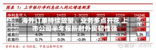海外订单持续放量、业务多点开花 上市公司半年报折射外贸韧性强