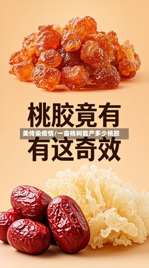 美传染疫情/一亩桃树能产多少桃胶-第2张图片