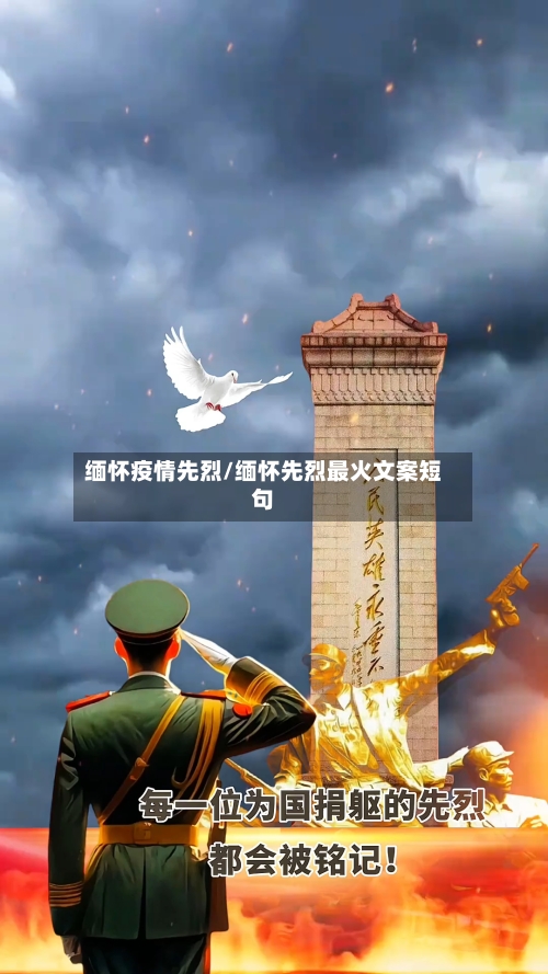 缅怀疫情先烈/缅怀先烈最火文案短句