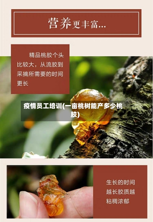 疫情员工培训(一亩桃树能产多少桃胶)-第2张图片