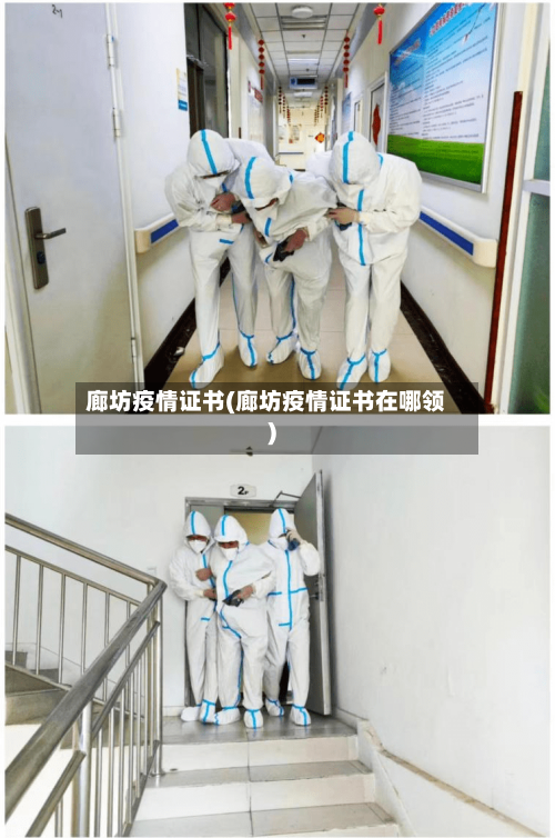廊坊疫情证书(廊坊疫情证书在哪领)-第2张图片
