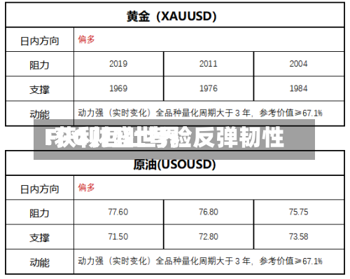 FPG财盛世界:获利回吐考验反弹韧性-第2张图片