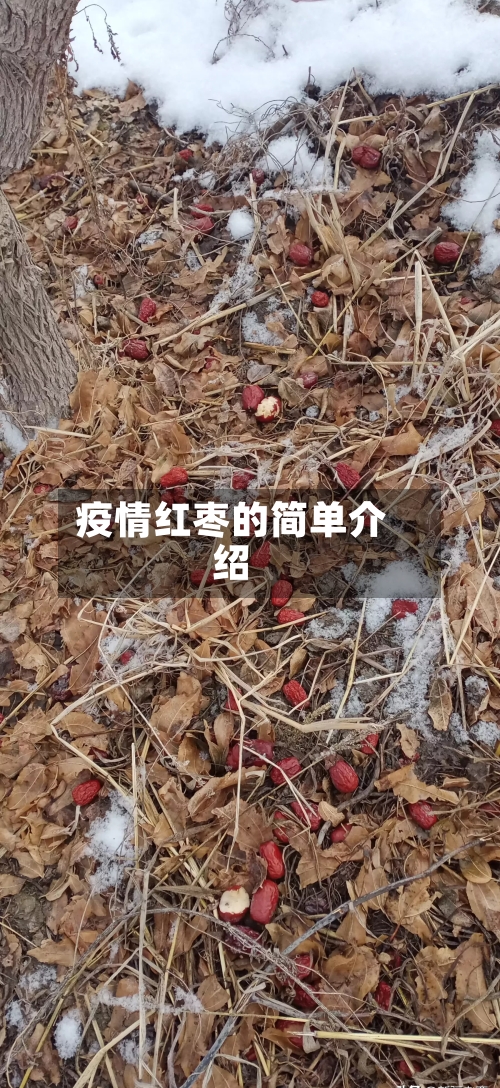 疫情红枣的简单介绍