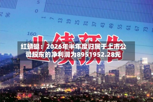 红蜻蜓：2026年半年度归属于上市公司股东的净利润为8951952.28元-第3张图片