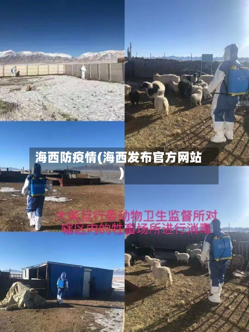 海西防疫情(海西发布官方网站)