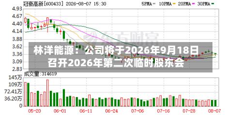 林洋能源：公司将于2026年9月18日召开2026年第二次临时股东会