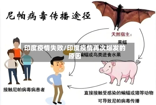 印度疫情失败/印度疫情再次爆发的原因