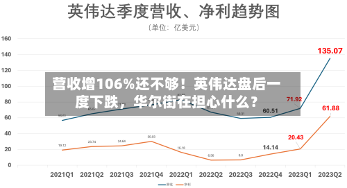 营收增106%还不够！英伟达盘后一度下跌，华尔街在担心什么？-第2张图片