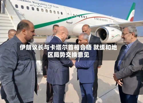 伊朗议长与卡塔尔首相会晤 就缓和地区局势交换意见