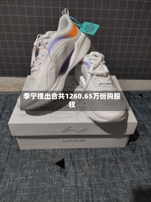 李宁授出合共1260.65万份购股权