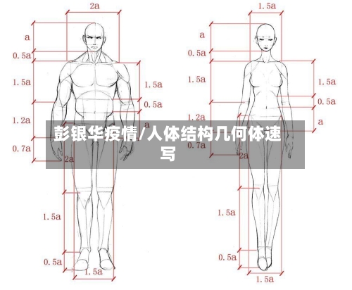 彭银华疫情/人体结构几何体速写-第2张图片