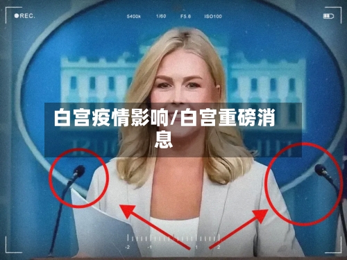 白宫疫情影响/白宫重磅消息-第2张图片