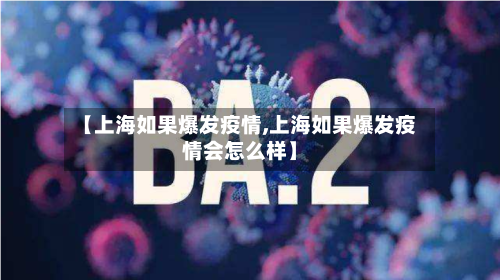 【上海如果爆发疫情,上海如果爆发疫情会怎么样】-第2张图片