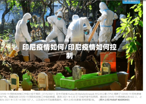 印尼疫情如何/印尼疫情如何控制-第2张图片