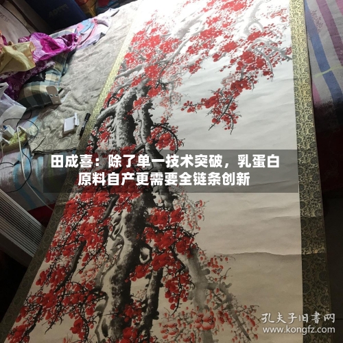 田成喜：除了单一技术突破	，乳蛋白原料自产更需要全链条创新-第2张图片